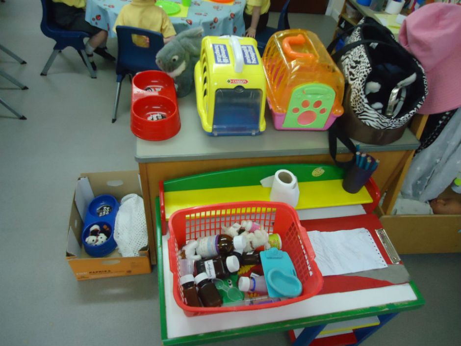 Bhí muid ag foghlaim faoi ainmhithe. / We were learning about animals. Welcome to our vets surgery!